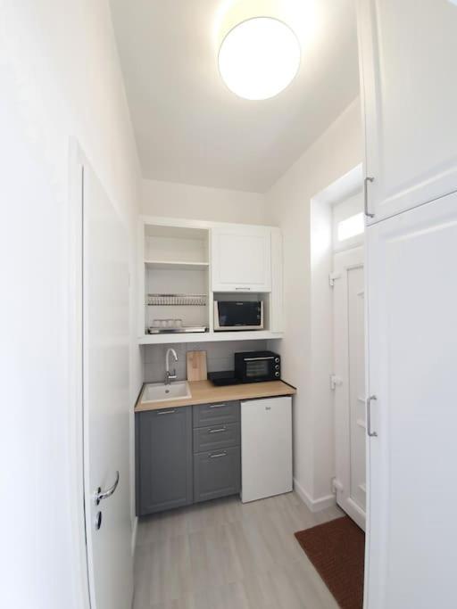 Master Apartment With Air Condition And Separated Rooftop Terrace Budapeşte Dış mekan fotoğraf