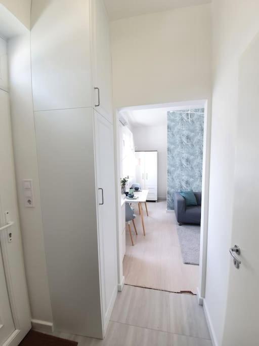 Master Apartment With Air Condition And Separated Rooftop Terrace Budapeşte Dış mekan fotoğraf