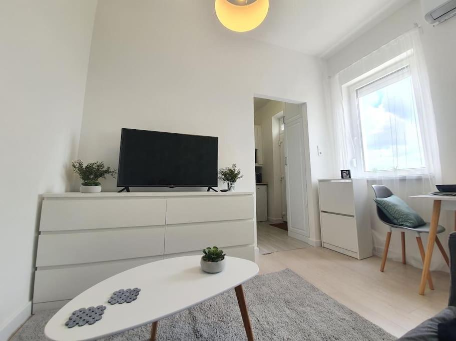 Master Apartment With Air Condition And Separated Rooftop Terrace Budapeşte Dış mekan fotoğraf